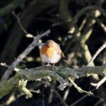 Home cgi bin mmwebwx bin webwxgetmsgimg &msgid=5440387963403550074&skey=@crypt 61b5c4fd e2750f2d7d7cc6a1090d3f2f65ee203f&mmweb appid=wx webfilehelper